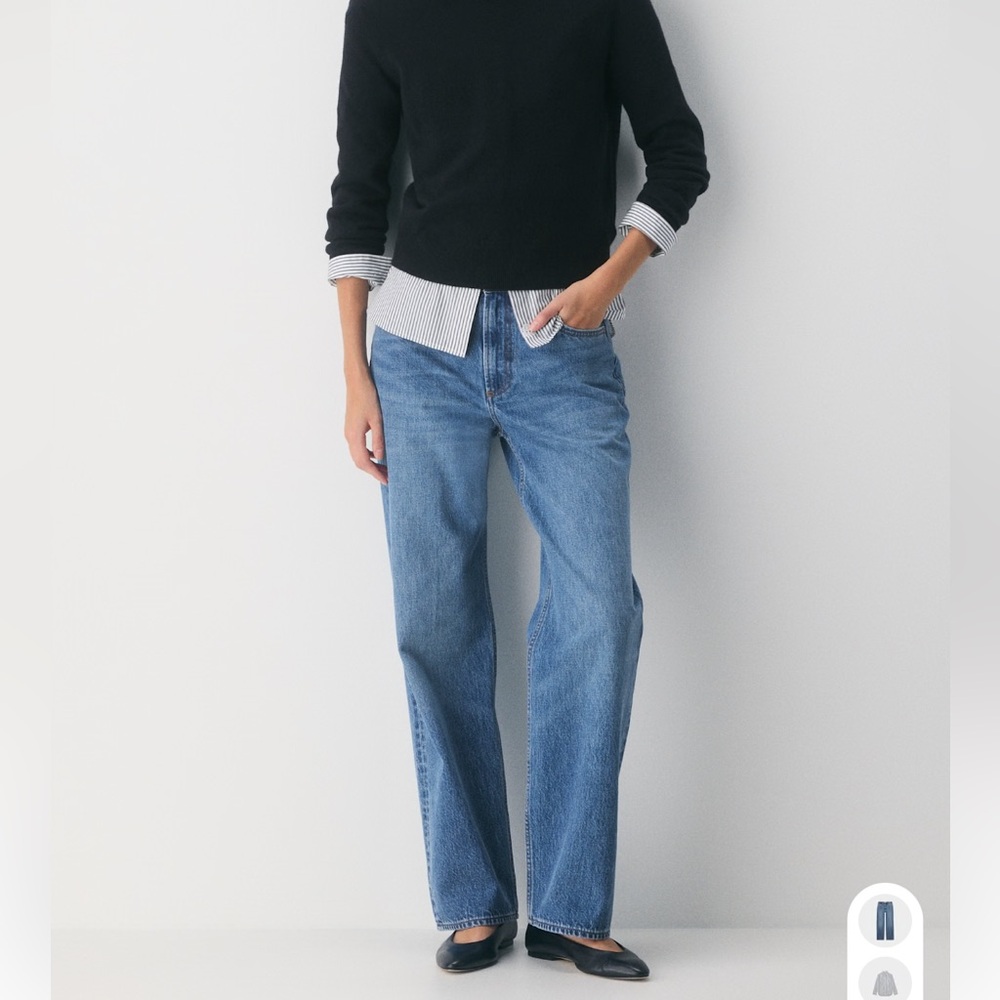 Aritzia Denim Forum 90s Iggy Lo-rise Baggy Jean